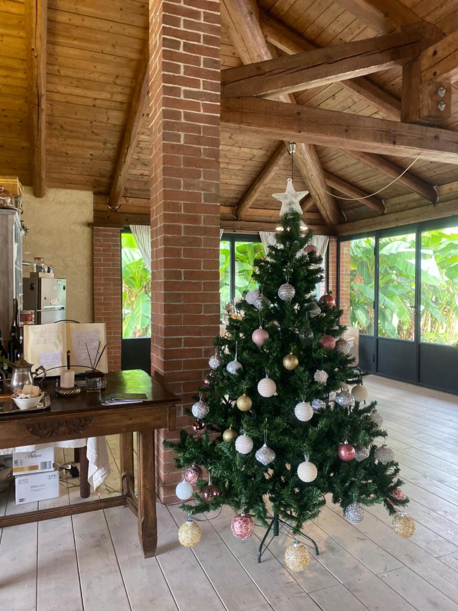 Villanova d'Asti Bed & Breakfast Il Mio Gelso المظهر الخارجي الصورة