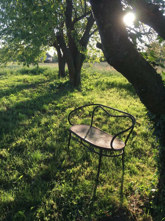 Villanova d'Asti Bed & Breakfast Il Mio Gelso المظهر الخارجي الصورة