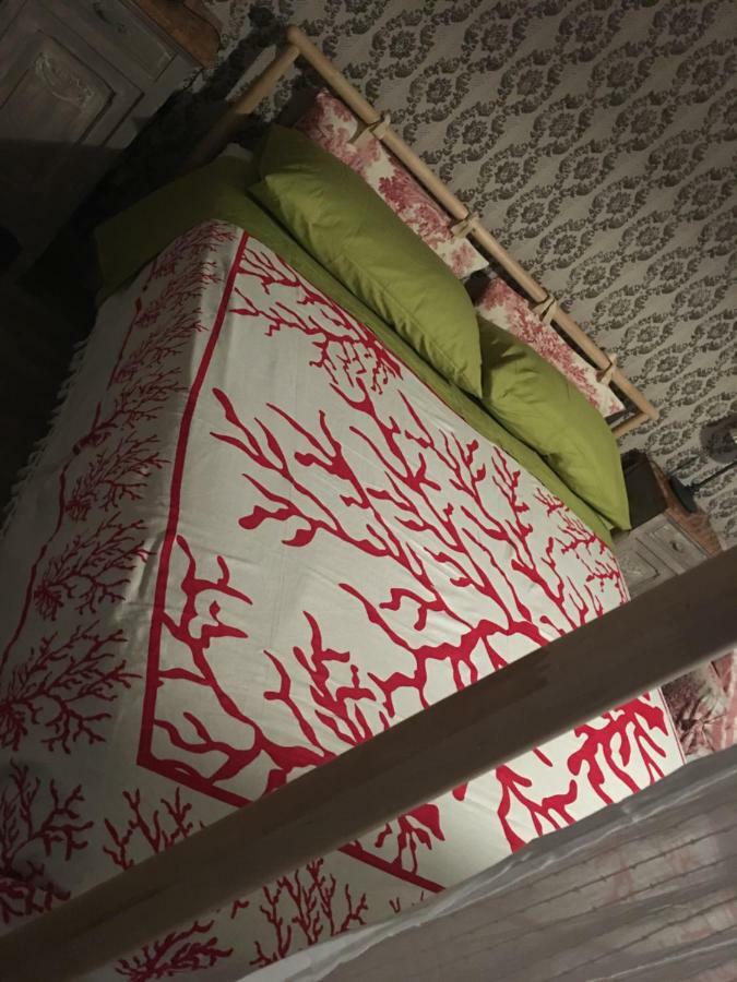 Villanova d'Asti Bed & Breakfast Il Mio Gelso المظهر الخارجي الصورة